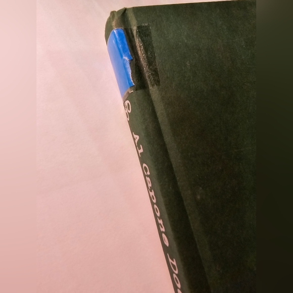 Al Capone does my homework kids book - Picture 6 of 7